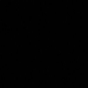 Meet your Posher, Lilija